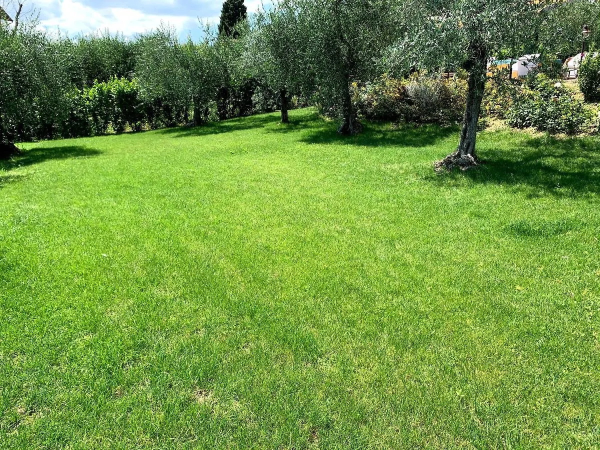 Corteviva Boutique B&B Perugia Frühstückspension